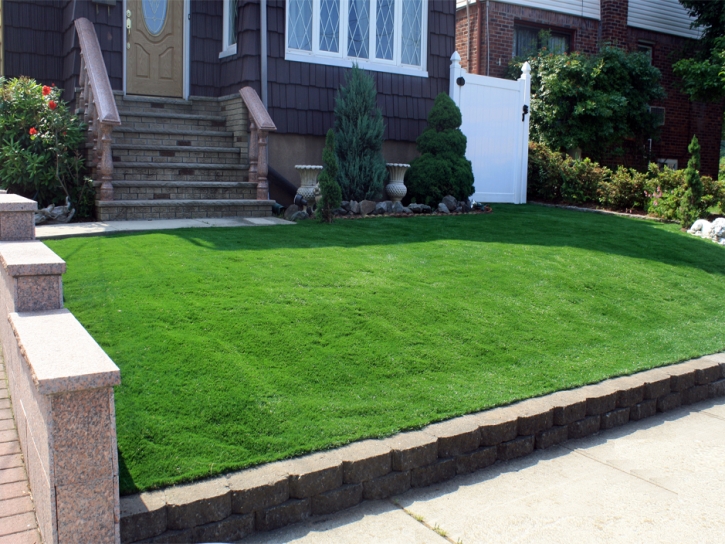 Fake Grass Carpet Solana Beach, California Landscape Design, Front Yard Design