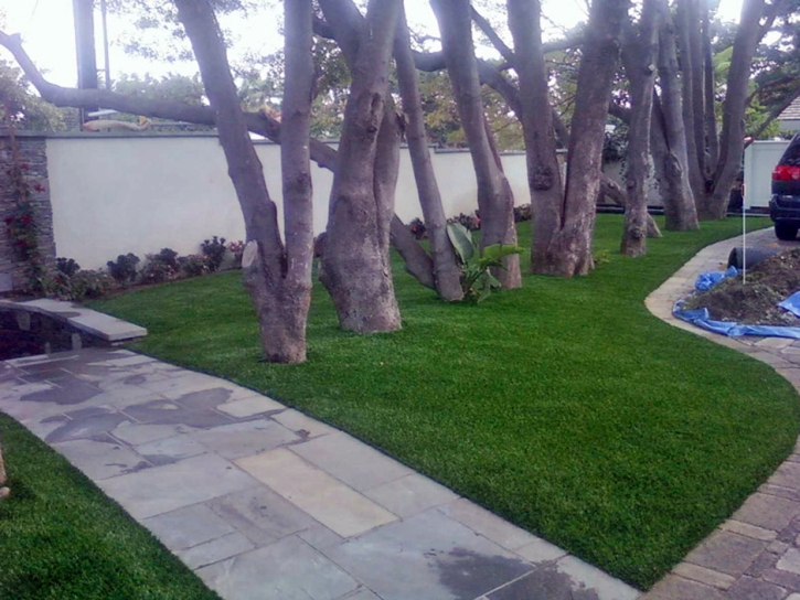Fake Grass Casa de Oro-Mount Helix, California Backyard Playground, Front Yard Landscaping Ideas