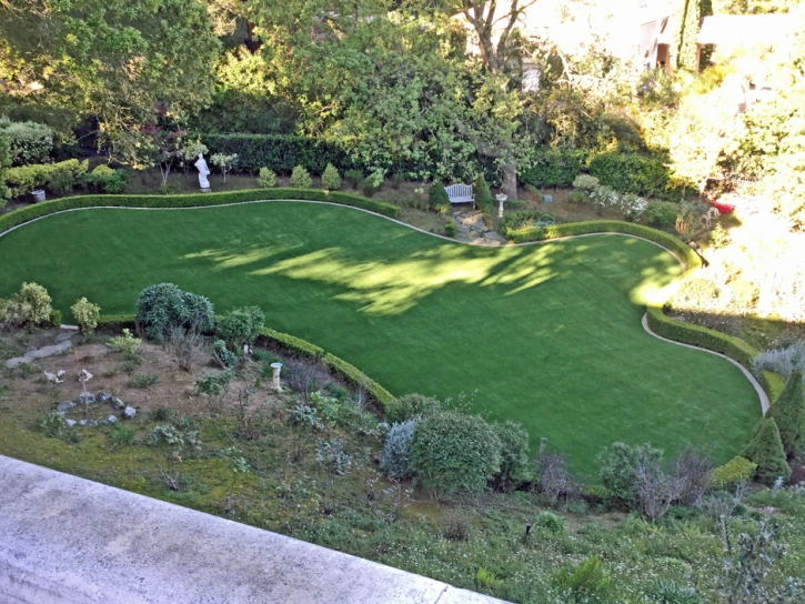 Fake Grass Lake San Marcos, California Backyard Playground, Backyard Landscape Ideas