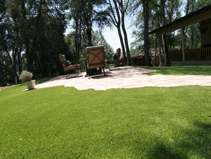 Fake Grass Pine Valley, California Paver Patio, Backyard Landscape Ideas