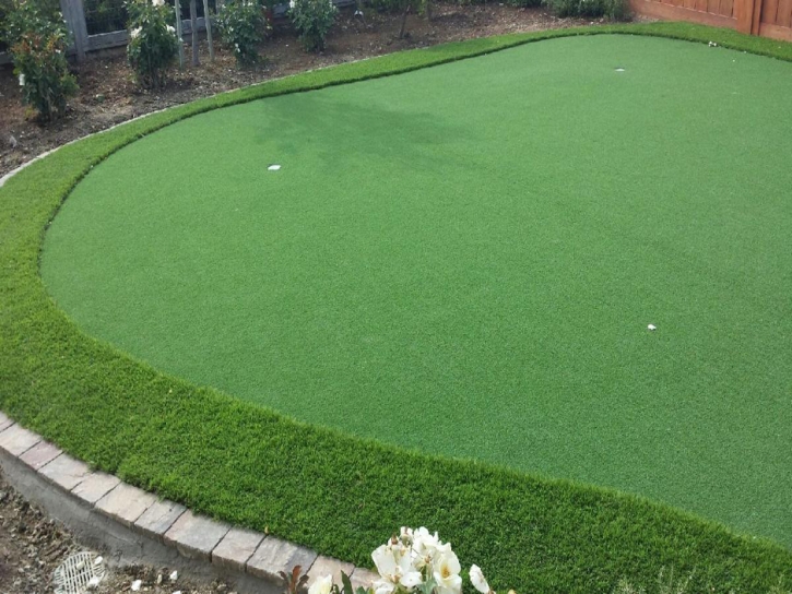 Fake Grass Rainbow, California Roof Top, Backyard Landscape Ideas