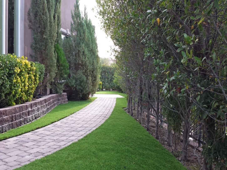 Fake Grass Rainbow, California Roof Top, Front Yard