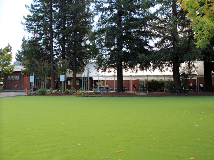 Fake Grass Rancho Santa Fe, California Playground Flooring, Recreational Areas