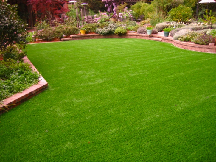Fake Grass Spring Valley, California Paver Patio, Backyard Designs