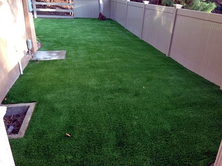 Fake Lawn National City, California Dog Grass, Backyard Landscape Ideas