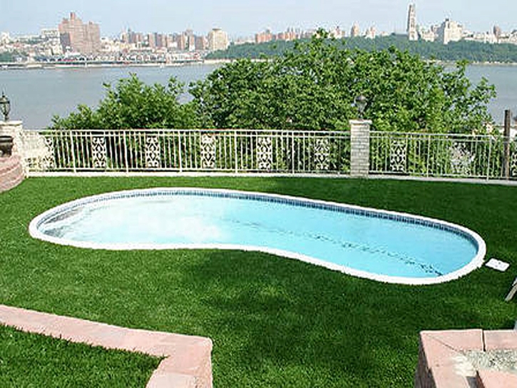 Fake Lawn Rancho San Diego, California Roof Top, Backyard Pool