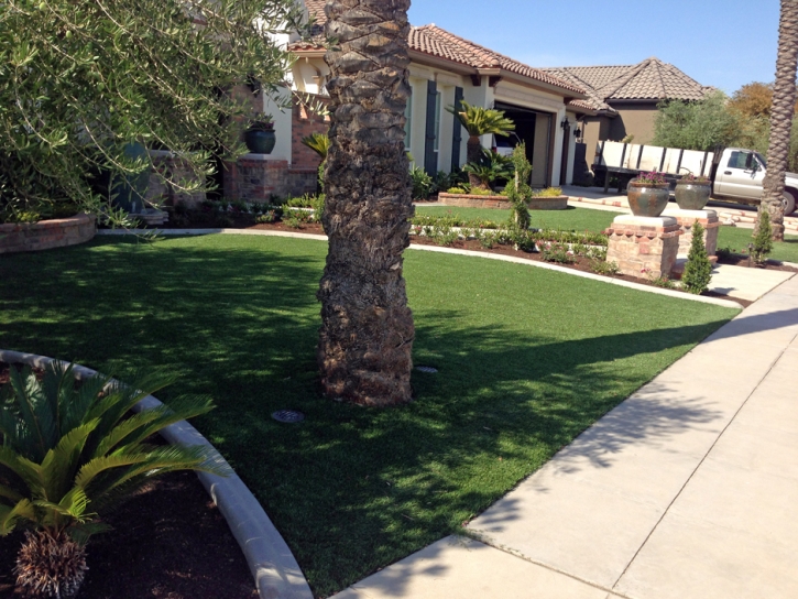 Fake Lawn Santee, California Rooftop, Front Yard Ideas