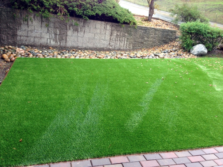 Fake Lawn Solana Beach, California Landscape Photos, Backyard Landscaping Ideas