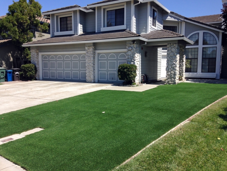 Fake Turf Boulevard, California City Landscape, Small Front Yard Landscaping