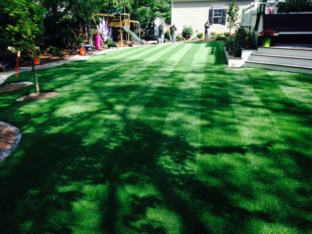 Fake Turf Del Mar, California Gardeners, Backyard Design