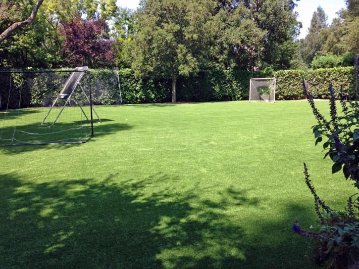 Fake Turf Encinitas, California Landscape Ideas, Backyard Garden Ideas