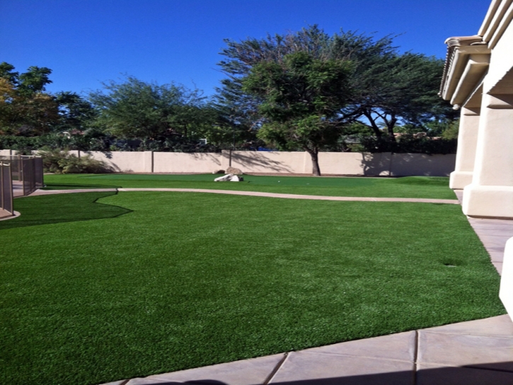 Fake Turf Escondido, California Paver Patio, Landscaping Ideas For Front Yard
