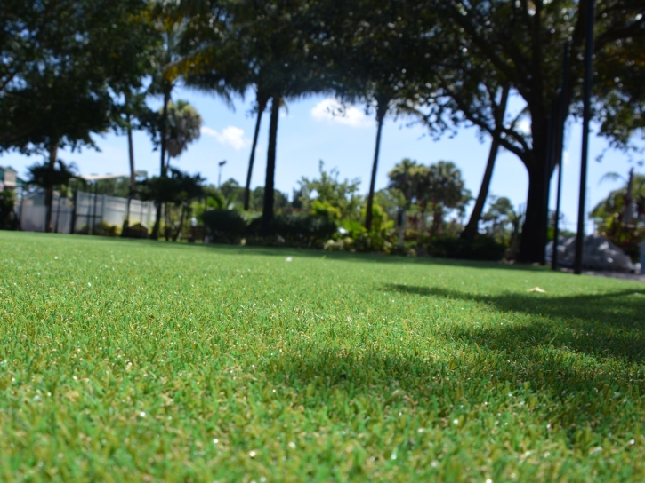 Fake Turf Jacumba, California City Landscape, Recreational Areas