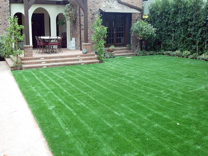Fake Turf Julian, California Garden Ideas, Front Yard Landscape Ideas