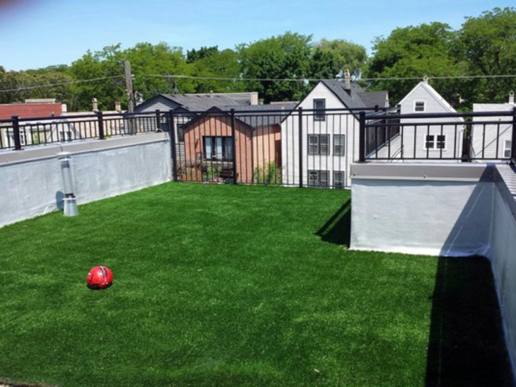 Fake Turf La Jolla, California Pet Grass, Roof Top