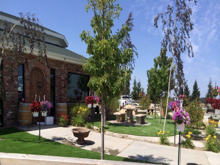 Faux Grass Descanso, California City Landscape, Commercial Landscape