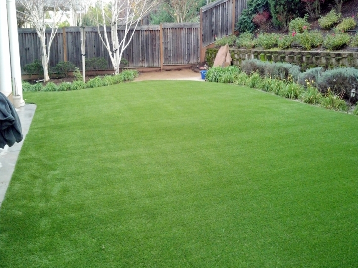 Faux Grass National City, California Lawn And Garden, Backyard Designs