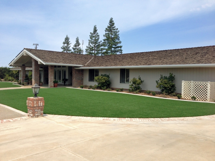 Faux Grass Spring Valley, California Landscaping, Front Yard Landscaping Ideas