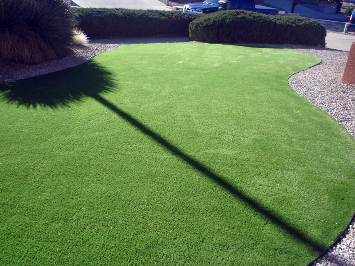 Faux Grass Spring Valley, California Garden Ideas, Front Yard Landscaping Ideas