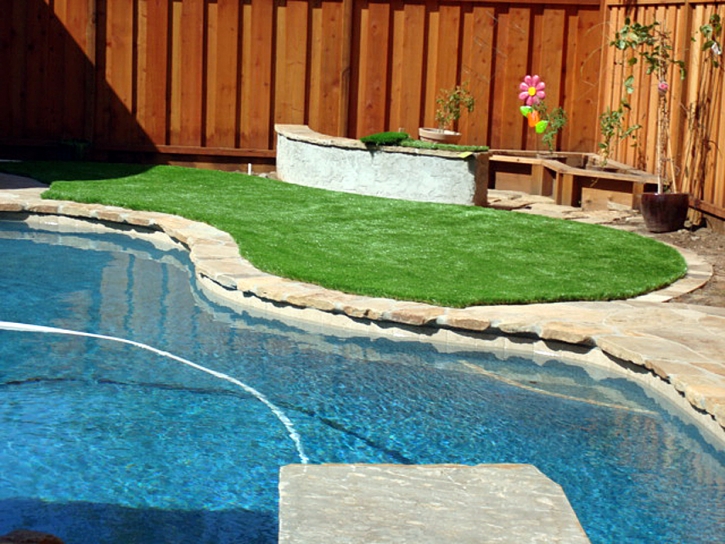 Faux Grass Valley Center, California Landscape Photos, Backyard