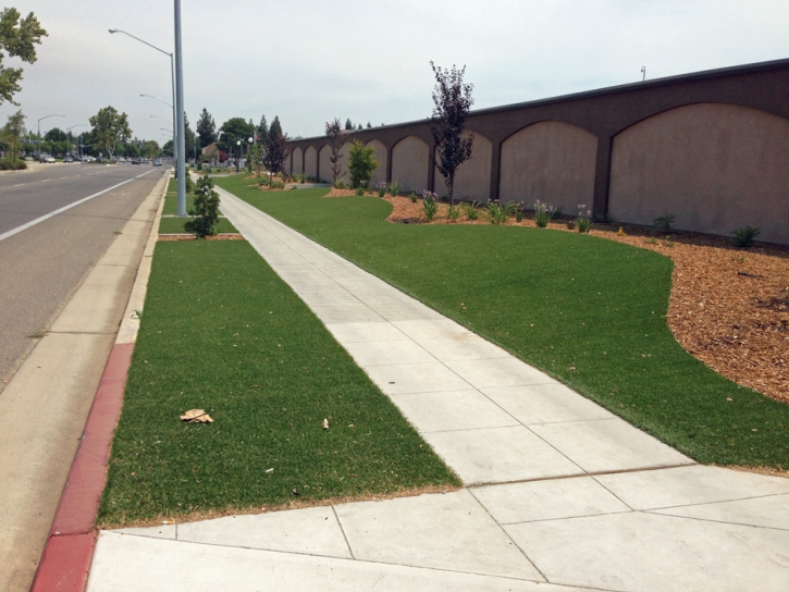Grass Carpet Alpine, California Lawn And Garden, Commercial Landscape