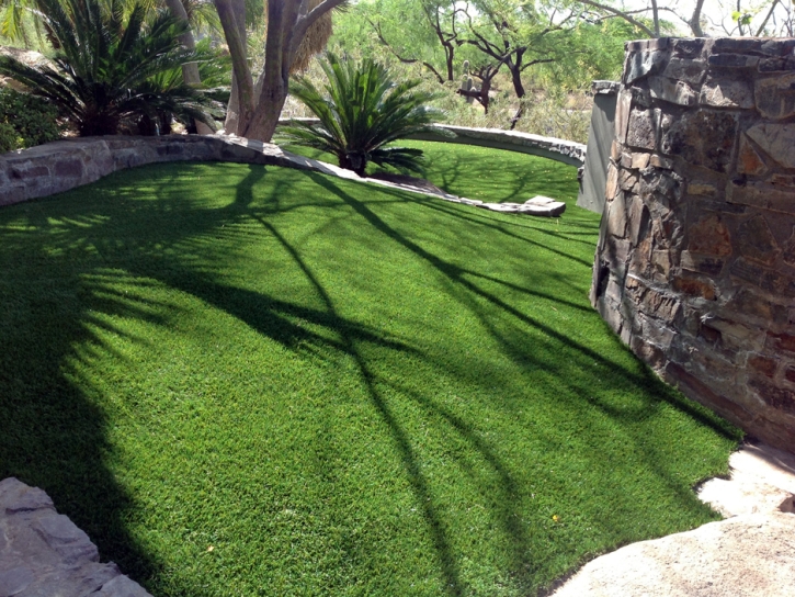 Grass Carpet Bonsall, California Landscape Photos