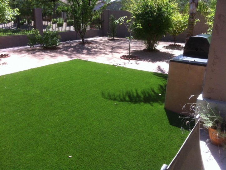 Grass Carpet Campo, California Pet Turf, Small Backyard Ideas