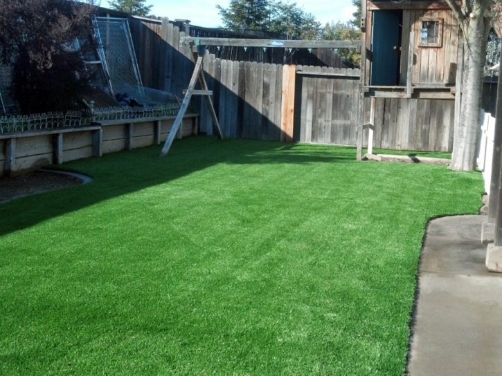 Grass Carpet Crest, California Paver Patio, Backyard Design