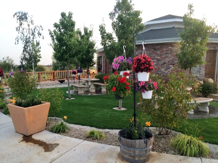 Grass Carpet Harbison Canyon, California Landscape Ideas, Commercial Landscape