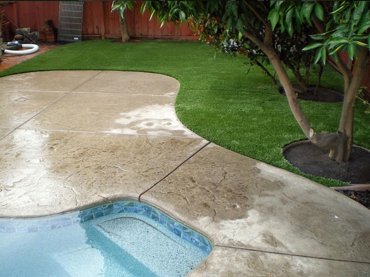 Grass Carpet Imperial Beach, California Landscape Rock, Backyard Pool