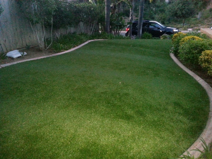Grass Carpet La Jolla, California Lawn And Landscape, Front Yard Ideas