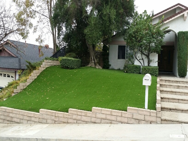Grass Carpet La Jolla, California Garden Ideas, Front Yard Landscaping Ideas
