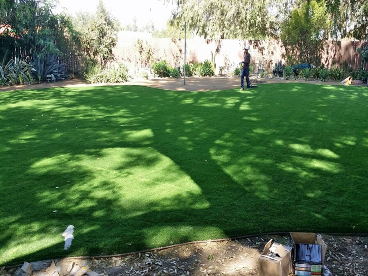 Grass Carpet Potrero, California Backyard Deck Ideas, Backyard Landscaping Ideas