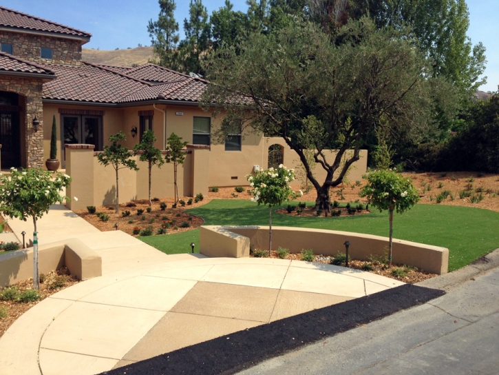 Grass Carpet Ramona, California Rooftop, Front Yard