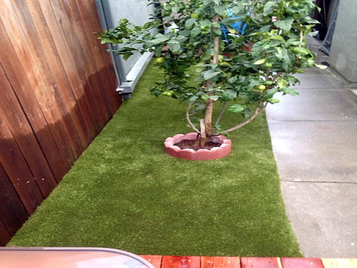 Grass Carpet San Marcos, California Dog Hospital, Beautiful Backyards