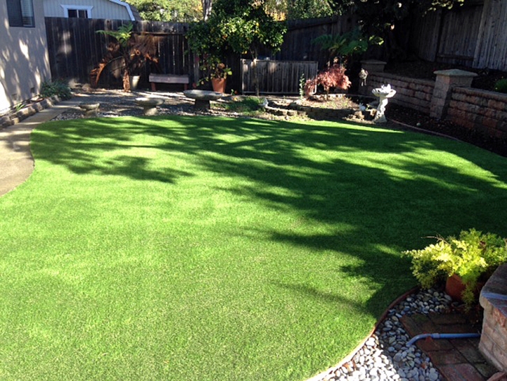 Grass Installation Rainbow, California Artificial Turf For Dogs, Backyards