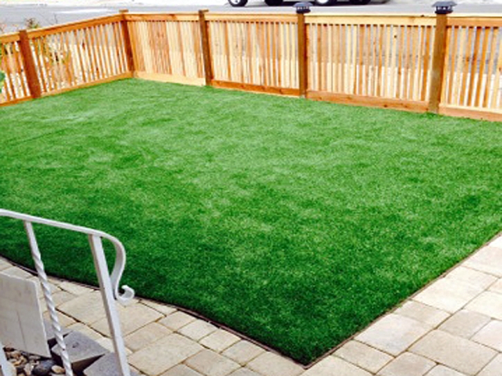 Grass Turf Del Mar, California Lawns, Backyard Design