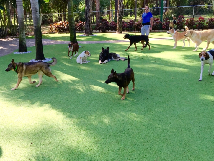 Grass Turf Fairbanks Ranch, California Dog Park, Grass for Dogs