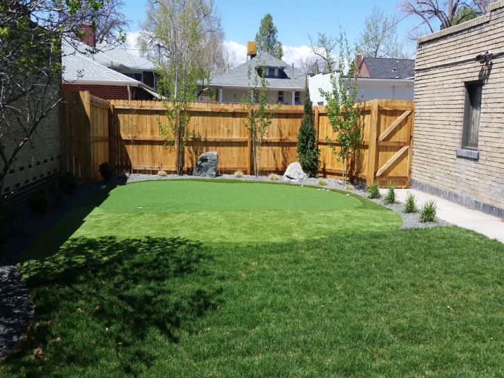 Grass Turf National City, California Putting Greens, Backyard Design