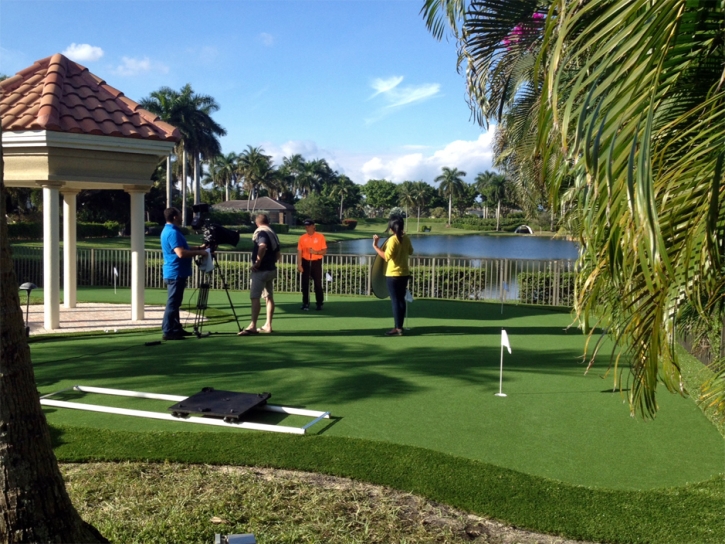 Grass Turf San Diego Country Estates, California Indoor Putting Green, Backyard Design