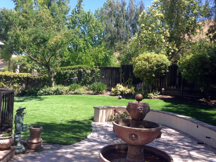 Grass Turf San Pasqual, California Home And Garden, Backyard Landscape Ideas