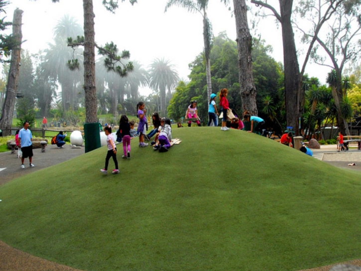 Green Lawn Borrego Springs, California Gardeners, Recreational Areas