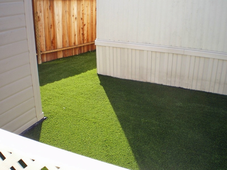 Green Lawn Coronado, California Pictures Of Dogs, Small Backyard Ideas