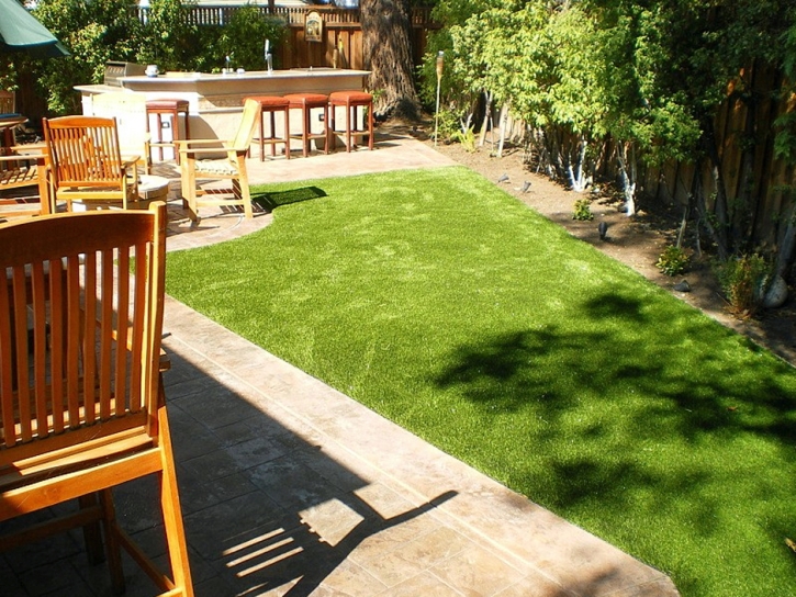 Green Lawn Lemon Grove, California Dogs, Small Backyard Ideas