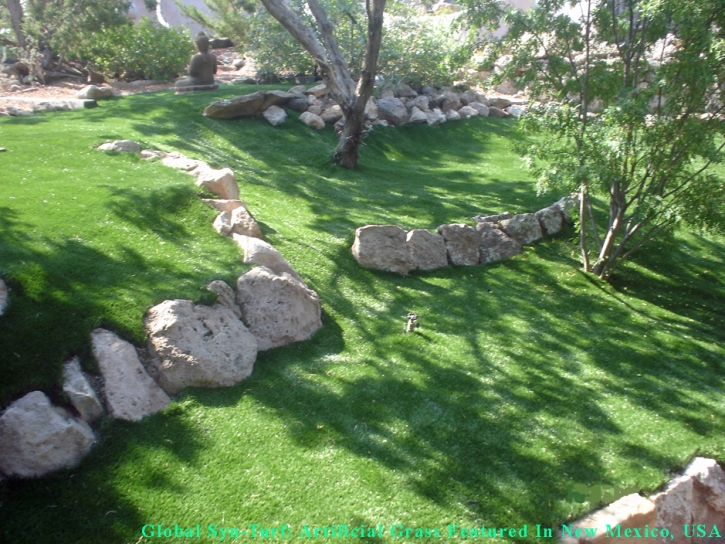 Green Lawn Spring Valley, California Landscape Ideas, Pavers