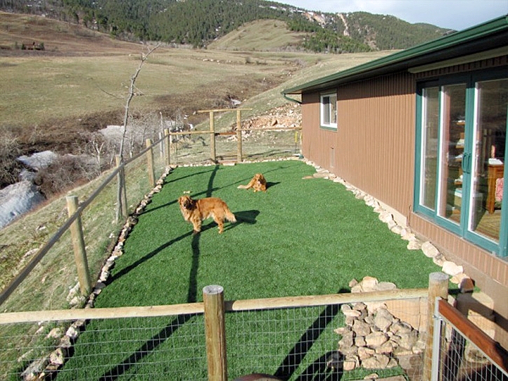 How To Install Artificial Grass Alpine, California Backyard Playground, Backyard