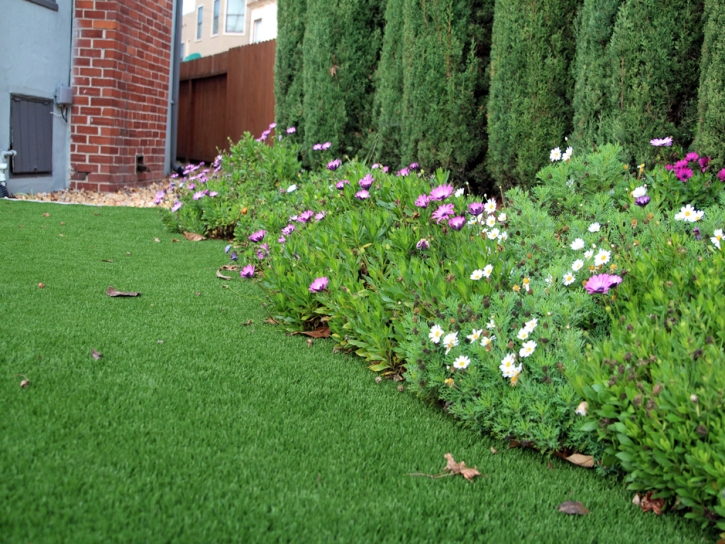 How To Install Artificial Grass Bonsall, California Rooftop, Front Yard Design