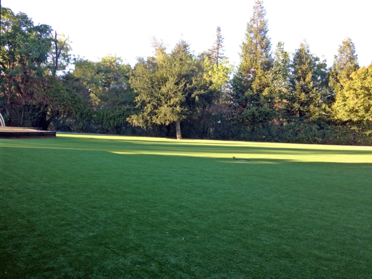 Installing Artificial Grass Lemon Grove, California Landscape Ideas, Recreational Areas