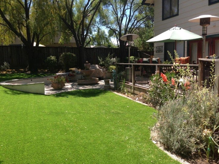 Installing Artificial Grass Poway, California Landscape Ideas, Backyard