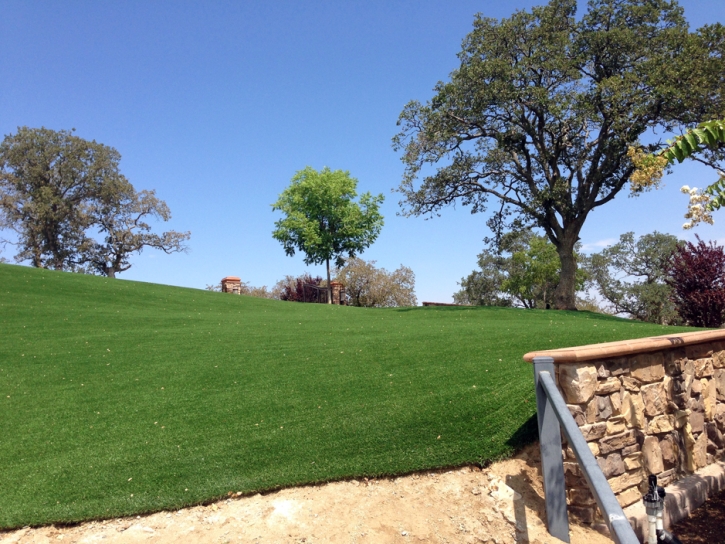 Lawn Services La Mesa, California Rooftop, Front Yard